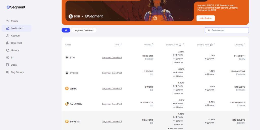 Segment finance assets